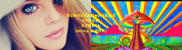 мдпв Заволжск
