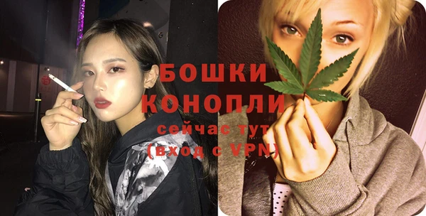 гашик Заводоуковск