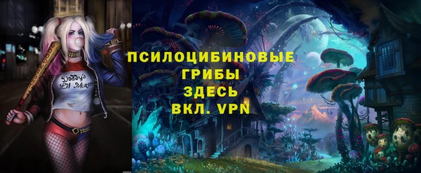гашик Заводоуковск