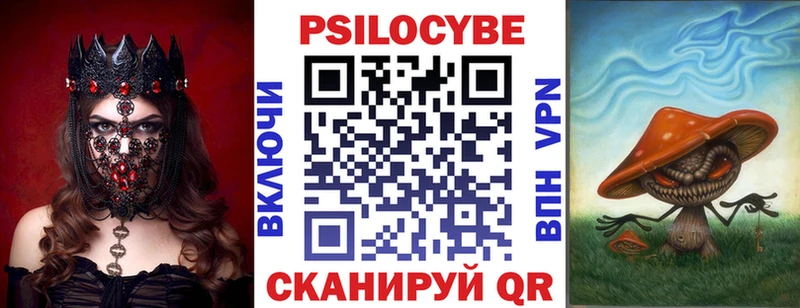 Псилоцибиновые грибы Psilocybe  Купить  Белово 