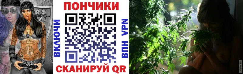 Бошки марихуана план  Купить закладки  Белово 